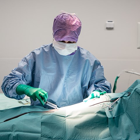 Operationsklädd person bakom sjukhussäng med gröna operationsdukar. Foto