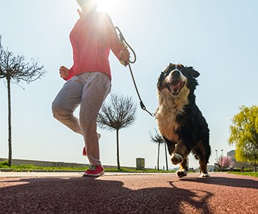 Kvinna joggar tillsammans med hund längs en gångväg. Foto.