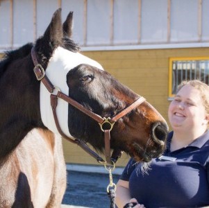 Häst med bandage runt huvudet tillsammans med djurskötare. Foto.