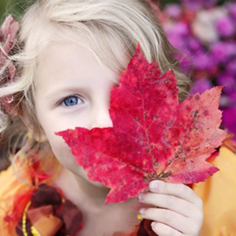 Flicka400_host_pixabay.jpg Flicka400_host_pixabay.jpg