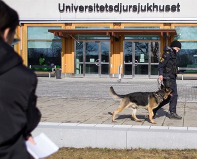 Polis med polishund. foto