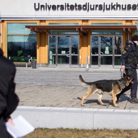 Polis med polishund. foto