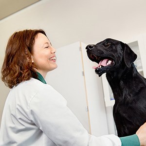 Veterinär med labrador