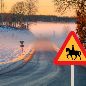 Snöig vinterväg med varningsskylt för häst