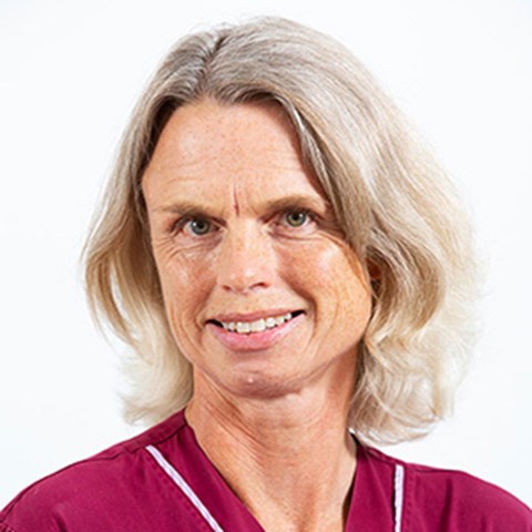 Bodil_Ström_Holst_300x300.jpg Bodil_Ström_Holst_300x300.jpg