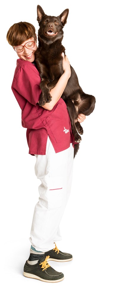 Animal caretaker with a large dog in her arms. Photo.